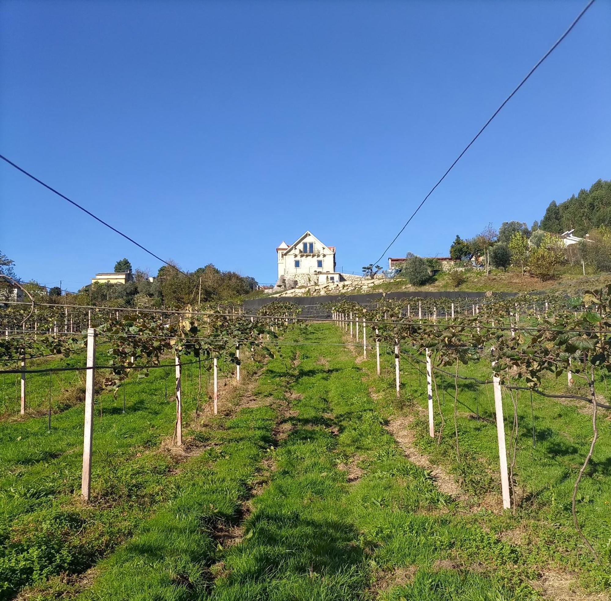 Quinta Do Bairro Villa Vieira do Minho Eksteriør billede