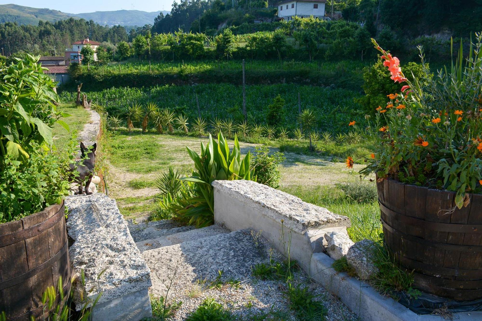 Quinta Do Bairro Villa Vieira do Minho Eksteriør billede